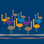 birds background N5