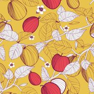 fruits background N9
