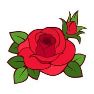 Red rose vector illustration N4