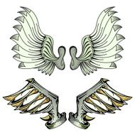 beautiful wings with unique style