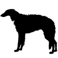 Borzoi Silhouette