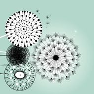 wonderful dandelions