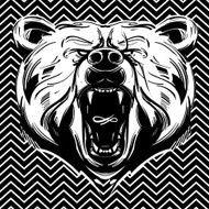 Bear face