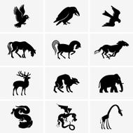Animals N86