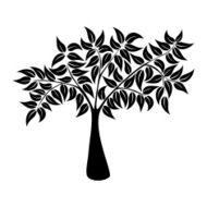 Tree silhouette isolated N4