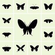 Butterflies N71