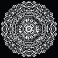 Beautiful ornament N53