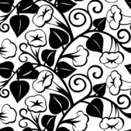seamless morning-glory black isolated background