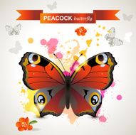 peacock butterfly N13
