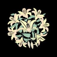 Flower lily round bouquet