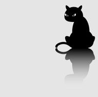 Black Cat N34