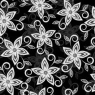 Beautiful black and white floral background lace flowers N2