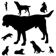 silhouette of dogs N7