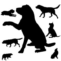 silhouette of dogs N8