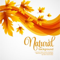 Autumn leaves background Vector illustration N3