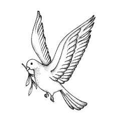 Vector of Hand draw dove Symbol peace N2
