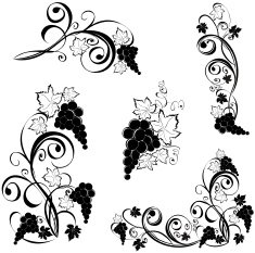 Design elements - Grapevine