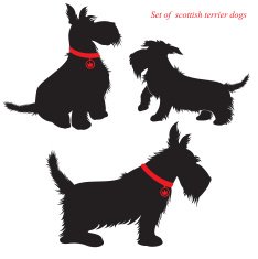 Set of scottish terrier dogs silhouettes