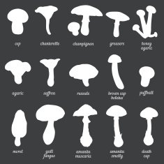 Vector Set of White Mushrooms Silhouettes