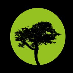 Tree N71