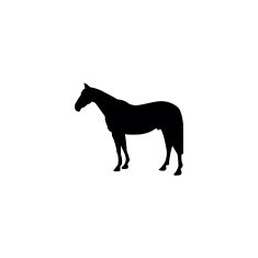 Horse Silhouette N16