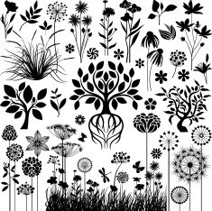 Collection of plants N2