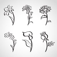 Ink style sketch set - summer flowers N2