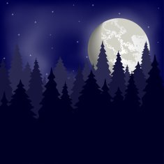 Forest and night sky