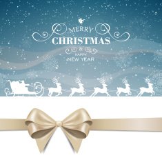 Vector Christmas Design N3