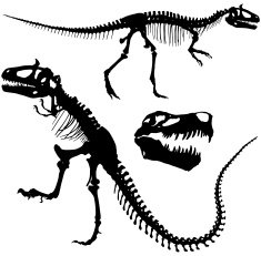 Tyrannosaurus Rex N3
