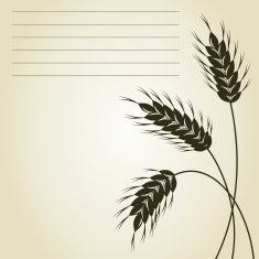Wheat N11