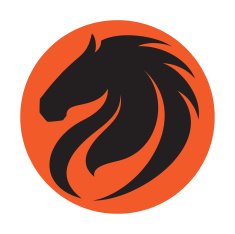 Horse Head N15