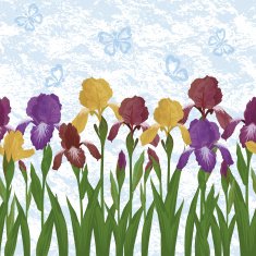 Flowers iris and butterflies seamless