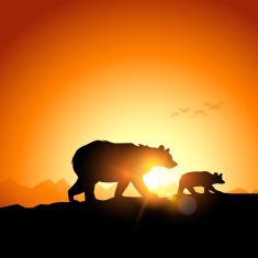 Wild Grizzly Bears