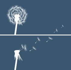 two dandelion buds silhouette on blue background vector N2