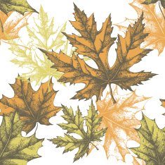 Seamless wallpaper with a maple leaf hand-drawing Vector illustration