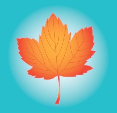 leaf design N3