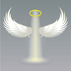 Angel wings and golden halo