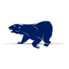 wild bear vector icon