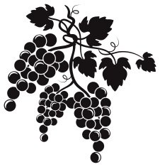 Grapevine Design Element