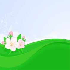 Spring background with apple blossoms