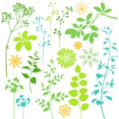 Leaf and Flower Elements
