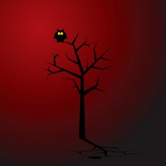 owl N74