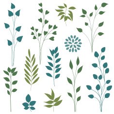 Leaf elements Vector illustration