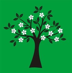 Spring Tree N25