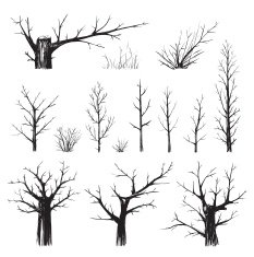 Scratchy Trees Collection in Black Silhouettes