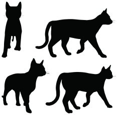 Cats collection - vector silhouette N4