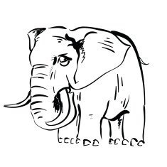 Elephant N68