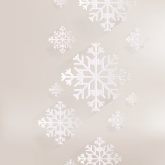 snowflake icon N21