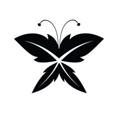 butterfly N108